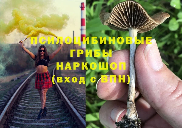 крисы Михайлов