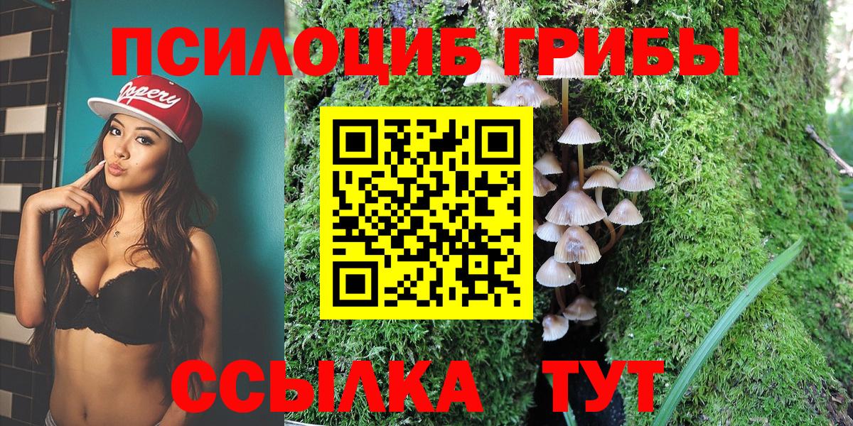 Егорьевск  Галлюциногенные грибы ЛСД  Вход с VPN  Галлюциногенные грибы мухоморы 