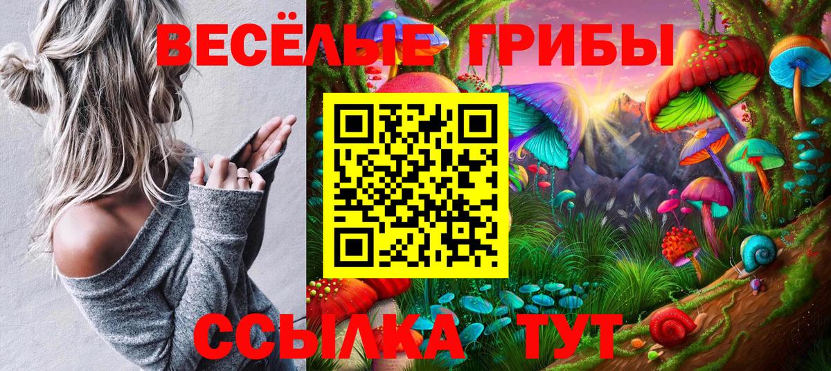 Галлюциногенные грибы Cubensis Егорьевск